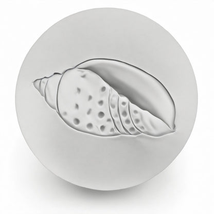 Junonia Shell Drink Coasters