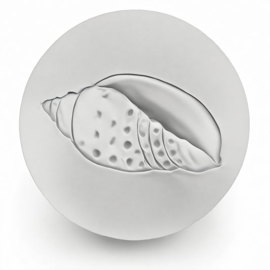 Junonia Shell Drink Coasters