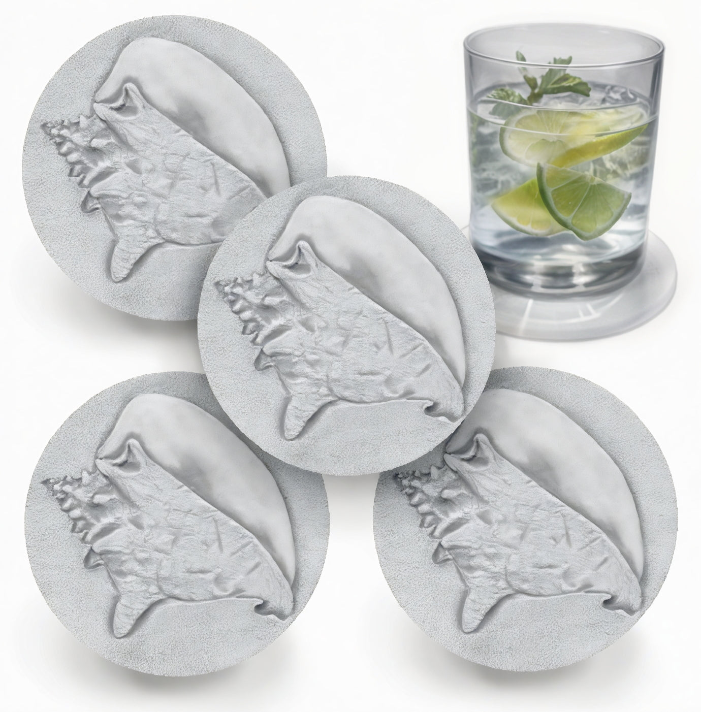 Conch Shell Drink Coasters