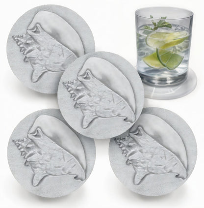Conch Shell Drink Coasters