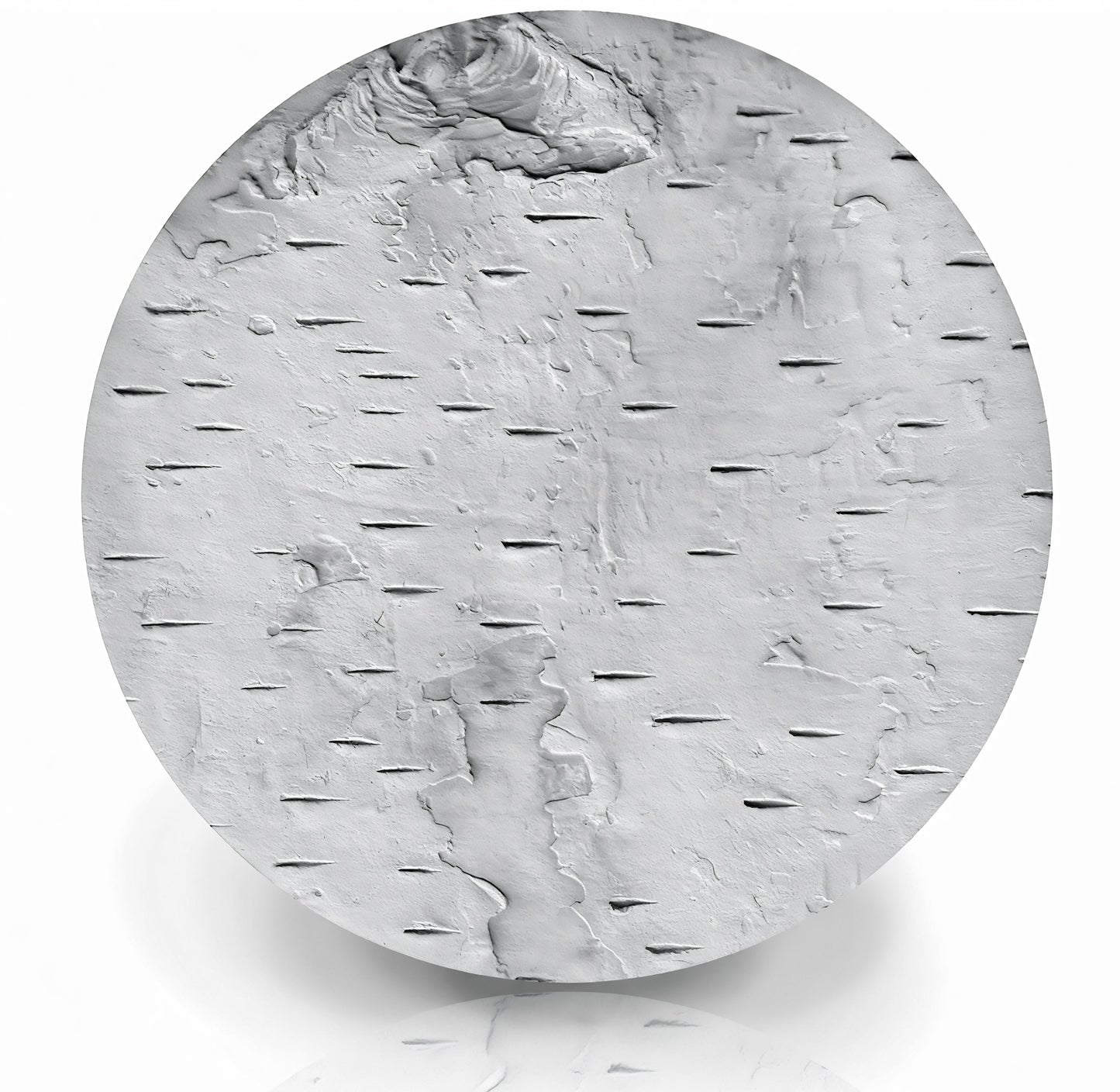 Birch Bark Drink Coasters