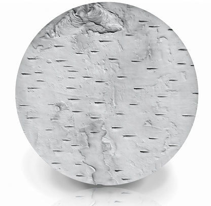 Birch Bark Drink Coasters