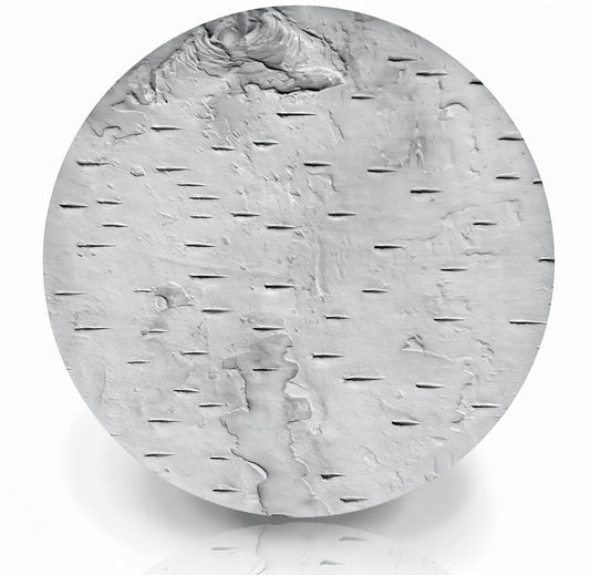 Birch Bark Drink Coasters